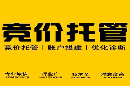 某电商平台的SEM推广实战经验